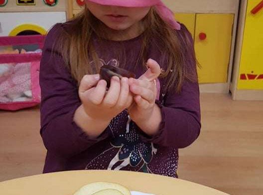 GR. I "Pyszne, zdrowe i słodkie"