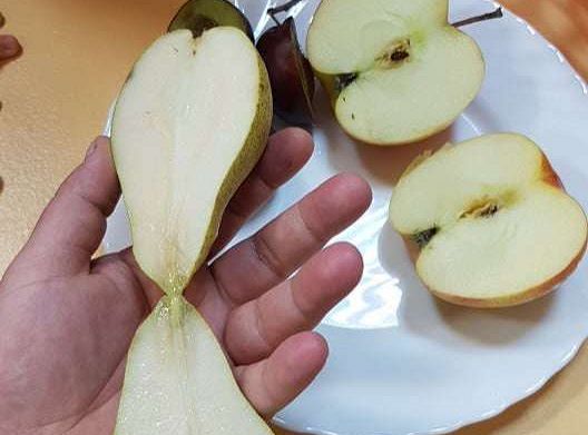 GR. I "Pyszne, zdrowe i słodkie"