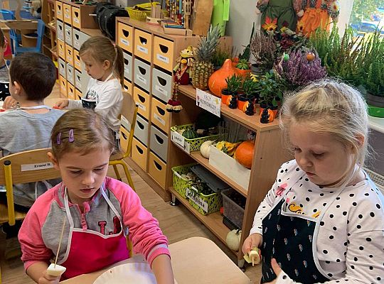 Gr IV- Owocowe szaszłyki