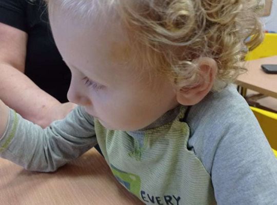 GR. I Grusze, gruszki, gruszeczki