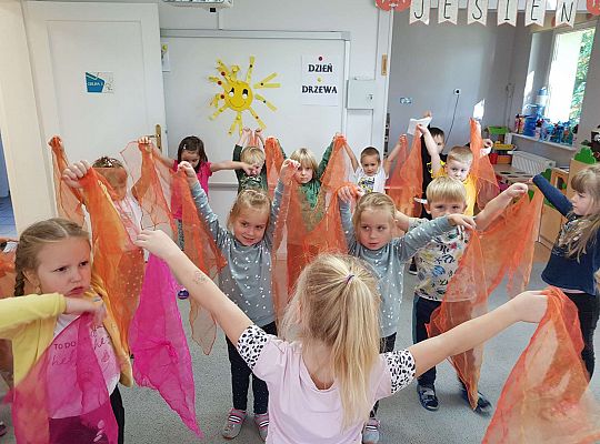 Gr. III Dzień drzewa