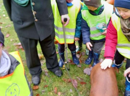 Gr. IV Wycieczka do Drętowa