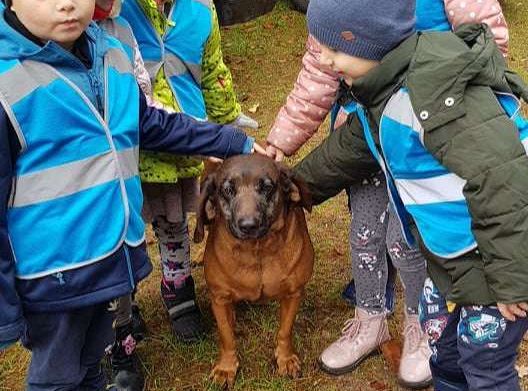 GR. I i II Wycieczka do Drętowa