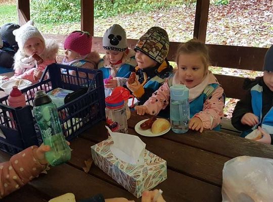 GR. I i II Wycieczka do Drętowa