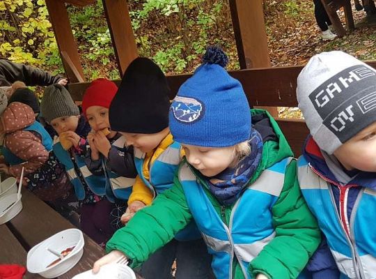 GR. I i II Wycieczka do Drętowa