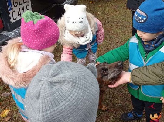 GR. I i II Wycieczka do Drętowa