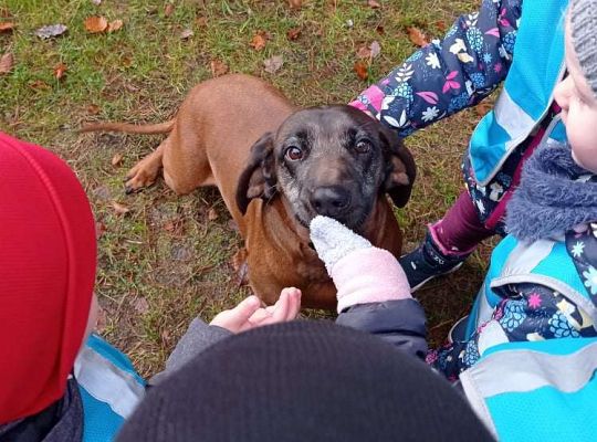 GR. I i II Wycieczka do Drętowa