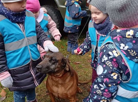 GR. I i II Wycieczka do Drętowa