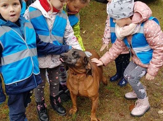 GR. I i II Wycieczka do Drętowa