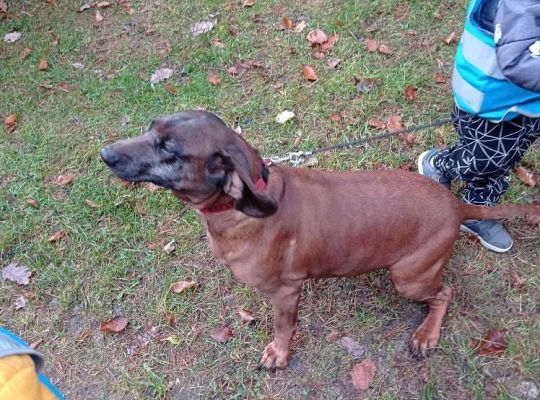 GR. I i II Wycieczka do Drętowa