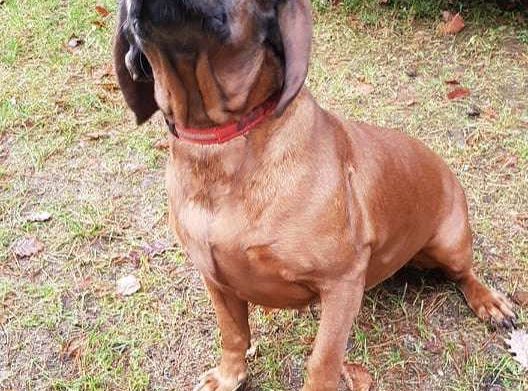 GR. I i II Wycieczka do Drętowa