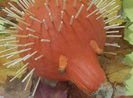 Rozstrzygnięcie konkursu Eko-cudaki