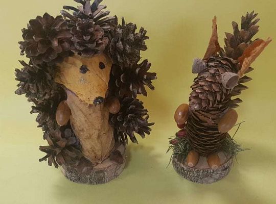 Rozstrzygnięcie konkursu Eko-cudaki