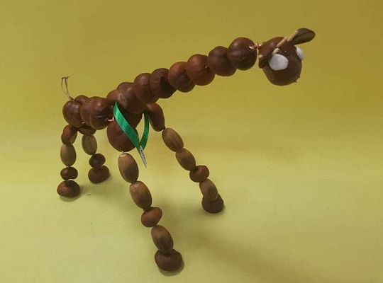 Rozstrzygnięcie konkursu Eko-cudaki