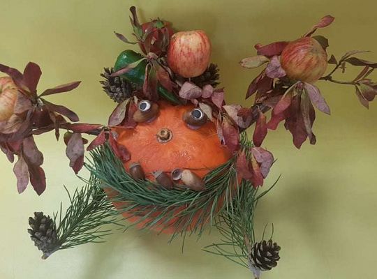 Rozstrzygnięcie konkursu Eko-cudaki