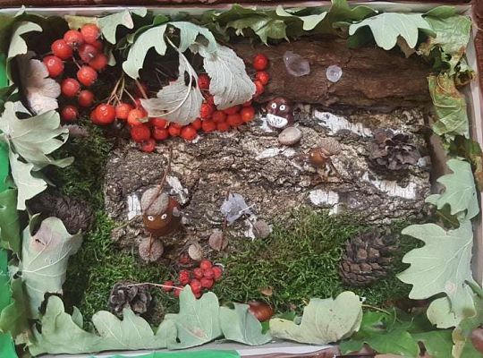 Rozstrzygnięcie konkursu Eko-cudaki