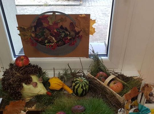 Rozstrzygnięcie konkursu Eko-cudaki