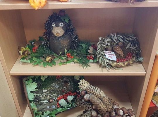 Rozstrzygnięcie konkursu Eko-cudaki