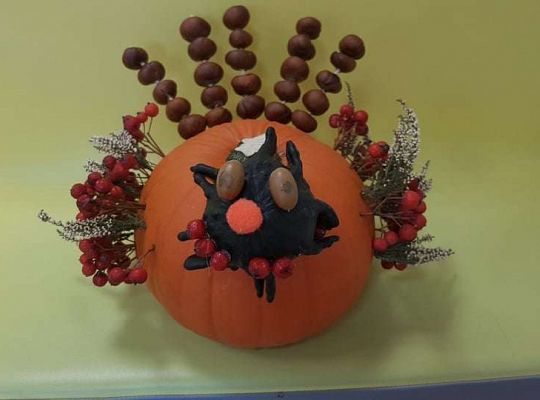 Rozstrzygnięcie konkursu Eko-cudaki