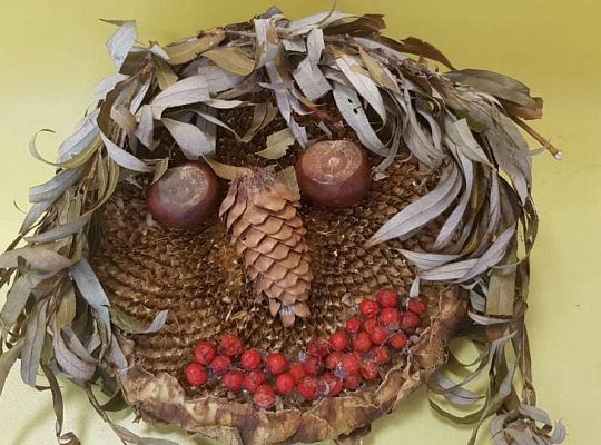 Rozstrzygnięcie konkursu Eko-cudaki