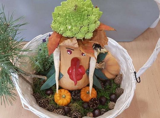 Rozstrzygnięcie konkursu Eko-cudaki