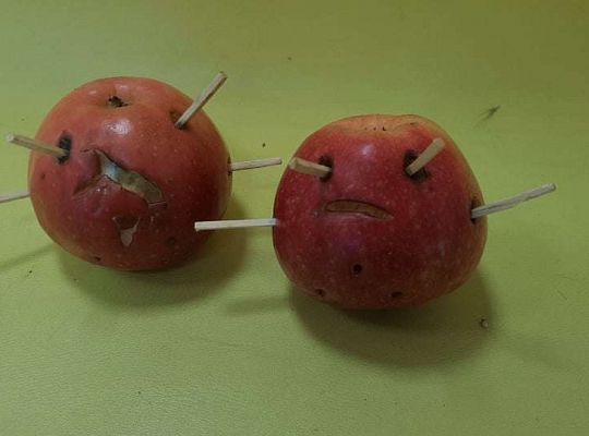 Rozstrzygnięcie konkursu Eko-cudaki