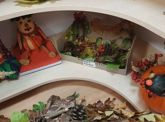 Rozstrzygnięcie konkursu Eko-cudaki