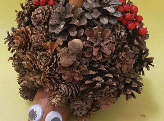 Rozstrzygnięcie konkursu Eko-cudaki