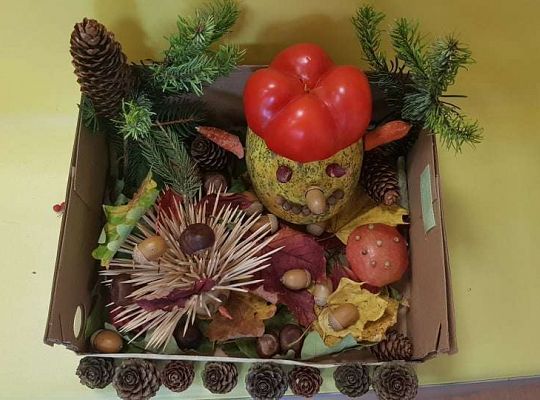 Rozstrzygnięcie konkursu Eko-cudaki