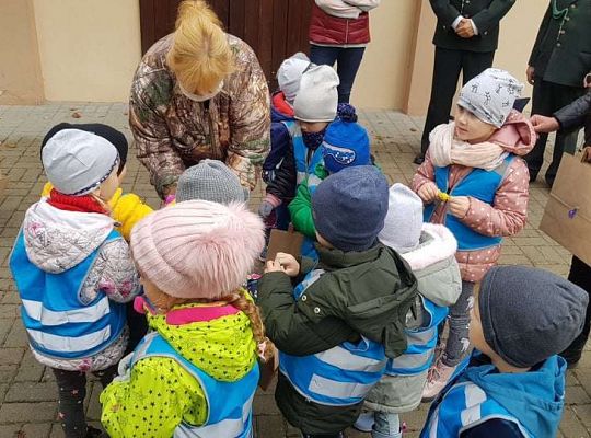 Rozstrzygnięcie konkursu Eko-cudaki