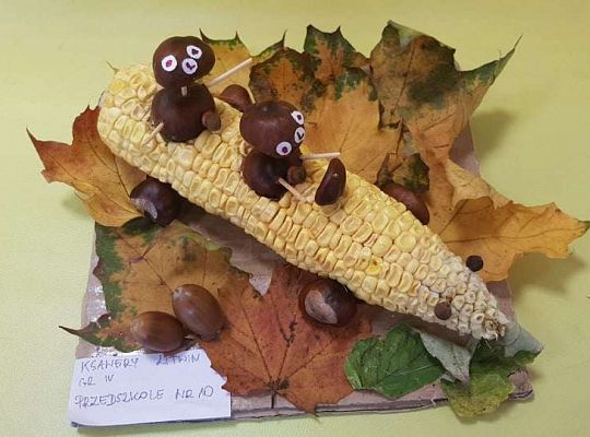 Rozstrzygnięcie konkursu Eko-cudaki