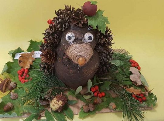 Rozstrzygnięcie konkursu Eko-cudaki