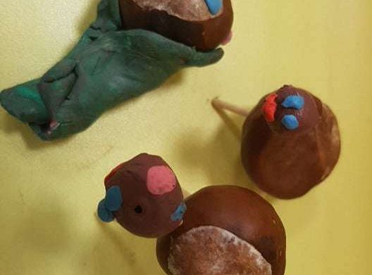 Rozstrzygnięcie konkursu Eko-cudaki