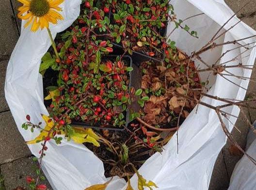 Rozstrzygnięcie konkursu Eko-cudaki