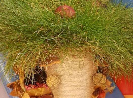 Rozstrzygnięcie konkursu Eko-cudaki