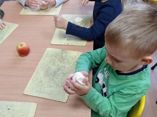 GR. I "Zdrowym być"  oraz warzywa i owoce z masy solnej