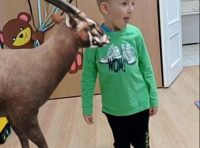 GR. I Ćwiczymy sekwencje oraz dzikie zwierzęta w naszej sali