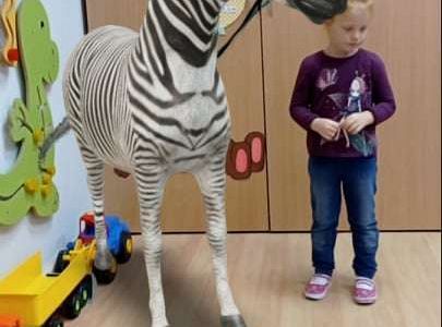 GR. I Ćwiczymy sekwencje oraz dzikie zwierzęta w naszej sali