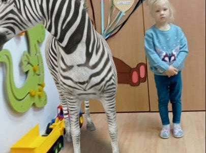 GR. I Ćwiczymy sekwencje oraz dzikie zwierzęta w naszej sali