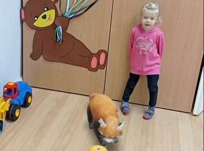 GR. I Ćwiczymy sekwencje oraz dzikie zwierzęta w naszej sali