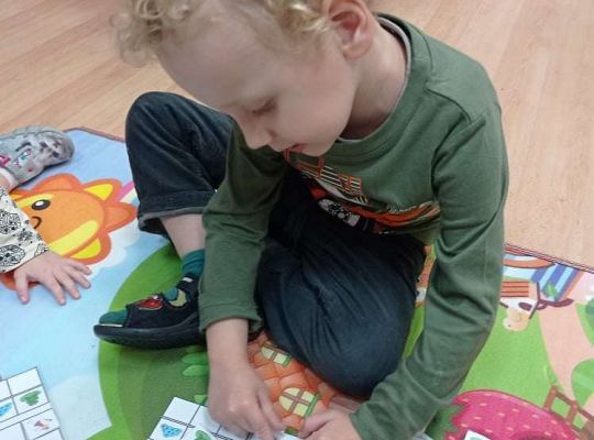 GR. I Ćwiczymy sekwencje oraz dzikie zwierzęta w naszej sali