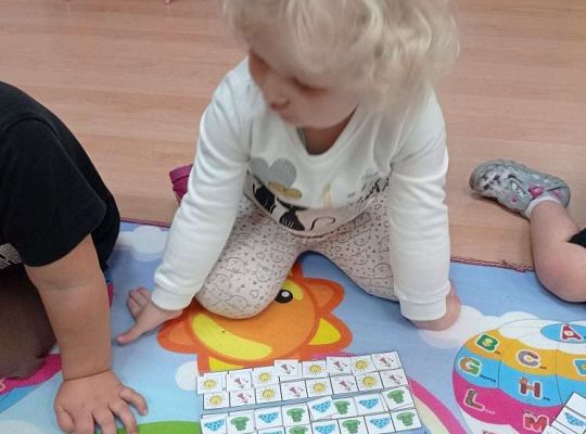 GR. I Ćwiczymy sekwencje oraz dzikie zwierzęta w naszej sali