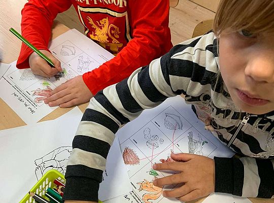 Gr IV - Zdrowo jem, więcej wiem