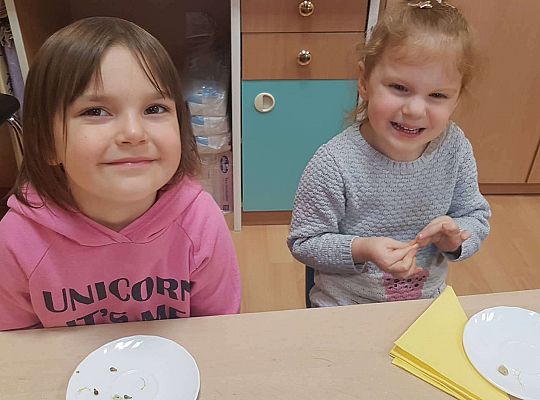 GR. II Urodzinki Tymka