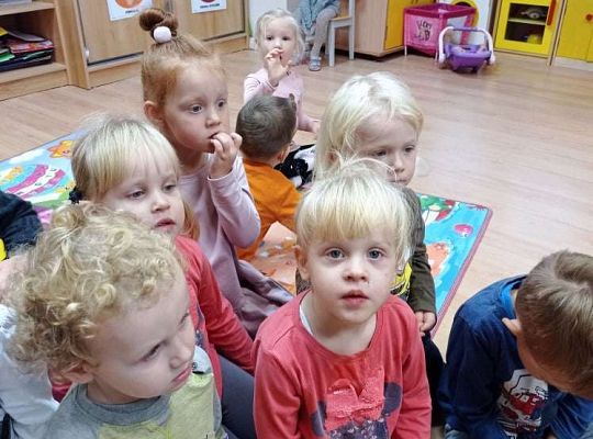 Druga lekcja "Magiczny las"