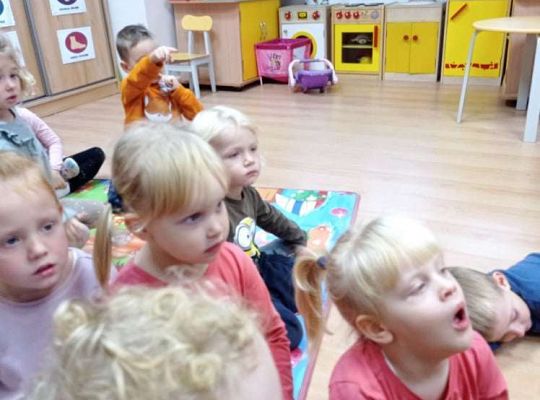 Druga lekcja "Magiczny las"