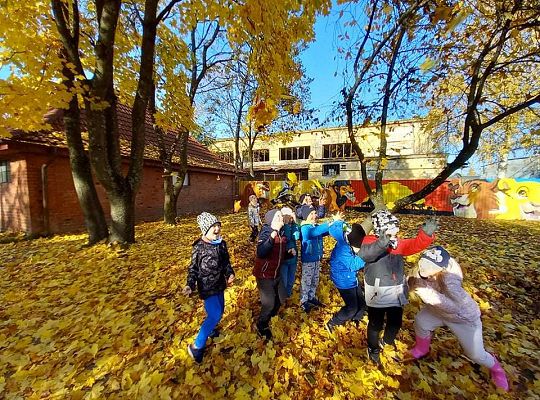 Gr. IV Jesień w ogrodzie