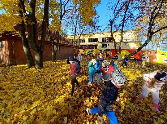 Gr. IV Jesień w ogrodzie