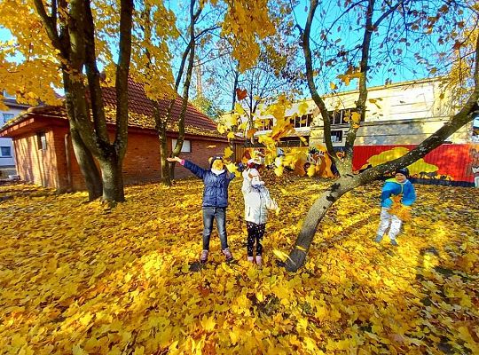 Gr. IV Jesień w ogrodzie