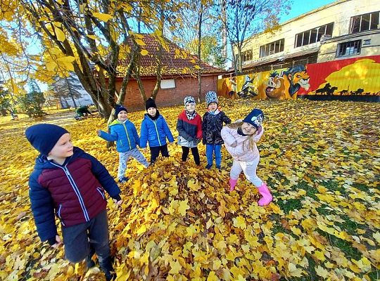 Gr. IV Jesień w ogrodzie